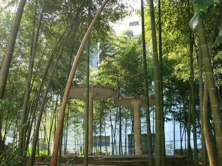 湖北生態(tài)工程職業(yè)技術(shù)學院校園圖片_大學圖片2