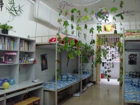 柳州職業(yè)技術(shù)學(xué)院宿舍圖片_寢室圖片7