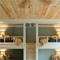 民辦合肥財經(jīng)職業(yè)學院宿舍圖片_寢室圖片6