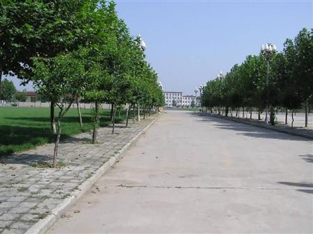 鄭州職業(yè)技術(shù)學(xué)院校園圖片_大學(xué)圖片3