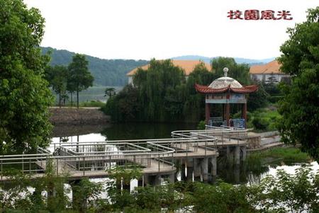 湖北開放職業(yè)學院招生網(wǎng)