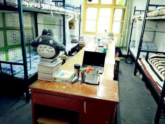 湖南外國語職業(yè)學院宿舍圖片_寢室圖片6
