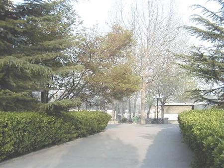 山東城市建設(shè)職業(yè)學(xué)院校園圖片_大學(xué)圖片3
