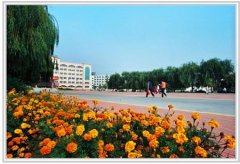 濰坊科技學院有哪些二本文科專業(yè)？