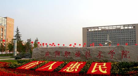 咸陽(yáng)職業(yè)技術(shù)學(xué)院校園圖片_大學(xué)圖片2