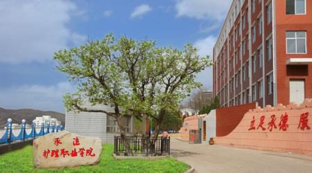 承德護理職業(yè)學(xué)院校園圖片_大學(xué)圖片3
