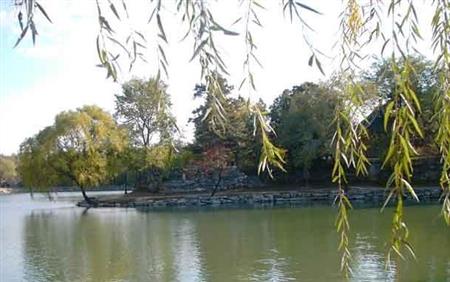 北京大學(xué)校園圖片_大學(xué)圖片2