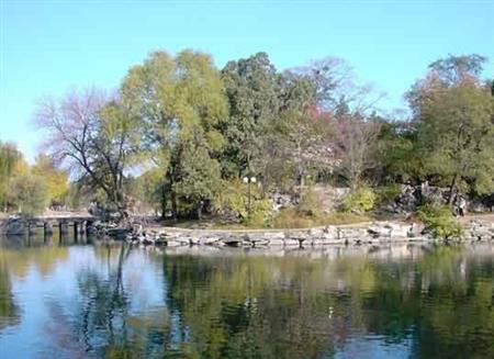 北京大學(xué)校園圖片_大學(xué)圖片3