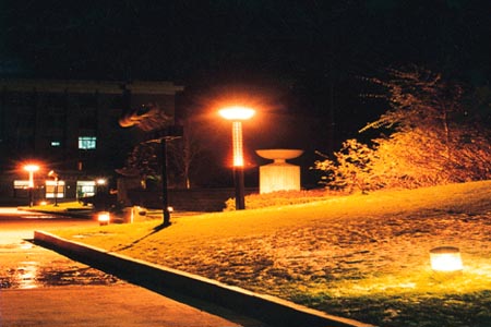 北京林業(yè)大學校園圖片_大學圖片6