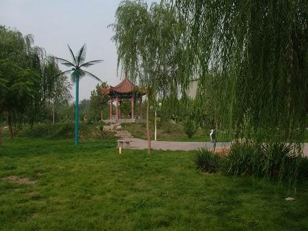 河北經(jīng)貿(mào)大學校園圖片_校園圖片5