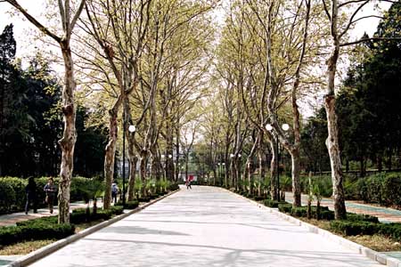 安徽農(nóng)業(yè)大學(xué)校園圖片_大學(xué)圖片10