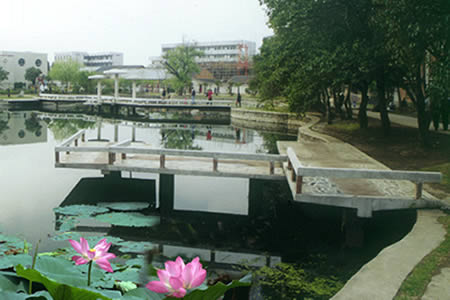 安徽農(nóng)業(yè)大學(xué)校園圖片_大學(xué)圖片11