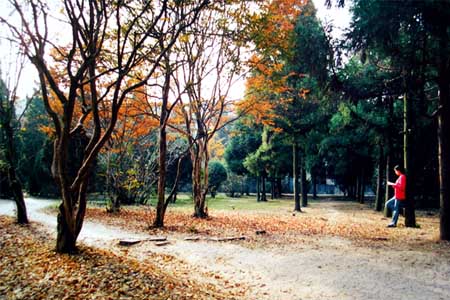 安徽農(nóng)業(yè)大學校園圖片_大學圖片12