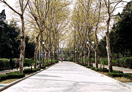 安徽農(nóng)業(yè)大學(xué)校園圖片_大學(xué)圖片13