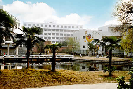 安徽農(nóng)業(yè)大學(xué)校園圖片_大學(xué)圖片8
