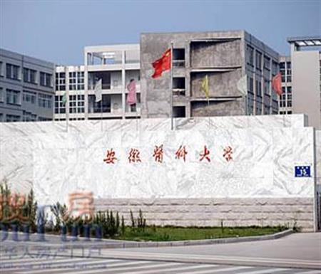 2019安徽理科高考560分能上什么大學？