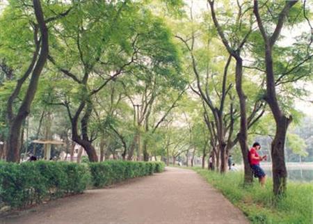 廣西大學(xué)校園圖片_大學(xué)圖片5