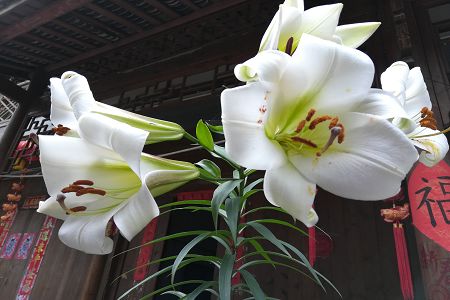 2019河南高考查分時(shí)間6月25日