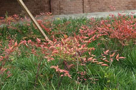 給排水工程施工與運(yùn)行專業(yè)詳解及就業(yè)方向