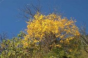 2018江西二本分?jǐn)?shù)線最低大學(xué)排名