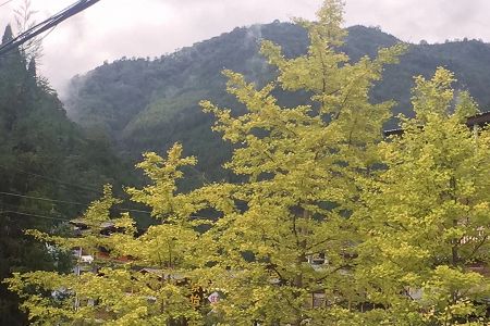 阿塞拜疆2017大學排名