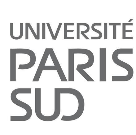 巴黎第十一大學綜合理工學校是公立還是私立_是教育部認證嗎?
